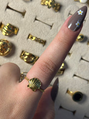 Shell Ring