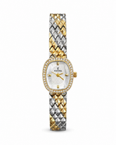 Festina in mix