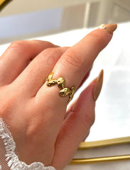 Rocks Ring